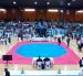 31 medallas para el taekwondo WT fueguino