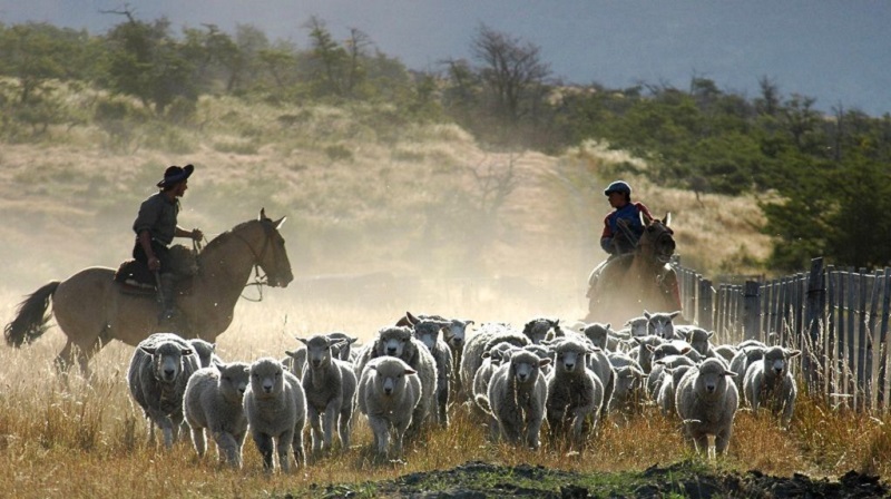 120.000 empleos rurales est�n en riesgo tras el vencimiento de una norma clave