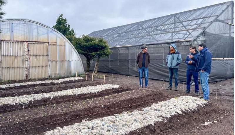 La Chacra municipal Agroexperimental se potencia junto a R�o Grande Activa