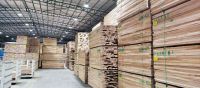 �Volvimos a reforzar mucho lo que es la exportaci�n dentro de Am�rica�