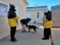Despliegue territorial de servicios veterinarios en Zona Sur y B� Malvinas Argentinas