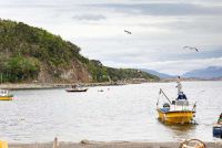 Levantan la veda de moluscos bivalvos en Bahía Brown y Punta Paraná