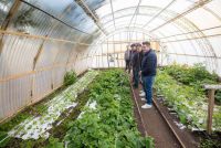 R�o Grande impulsa la primera Chacra Agroexperimental Municipal de Tierra del Fuego