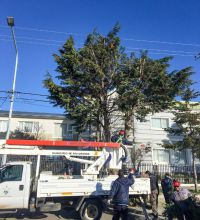 R�o Grande impulsa el programa ciudad verde con recomendaciones para forestar