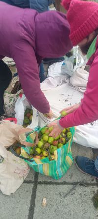 Tres en Rama: la propuesta de usar los yuyos de la vereda como alimento