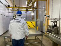 La producci�n porcina local se consolida