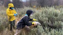 La Provincia y el Malbran despliegan operativo de vigilancia epidemiol�gica 