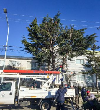 R�o Grande impulsa el programa ciudad verde con recomendaciones para forestar