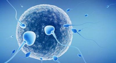 Se promulg la Ley de Reconocimiento de la infertilidad humana como enfermedad