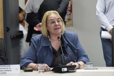 La venta en cuotas �es la �nica herramienta� para competir contra la importaci�n