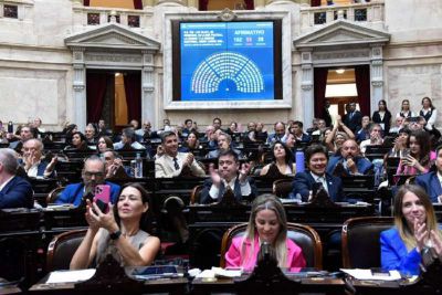 Diputados aprob la suspensin de las elecciones PASO