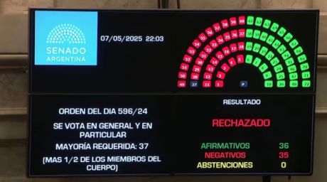 El Senado no aprob Ficha Limpia