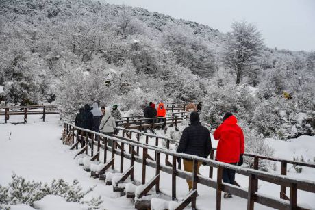Querciali destac� una temporada invernal r�cord