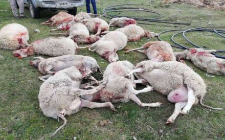 �Todo nace en las ciudades�, sostuvo Hoyos